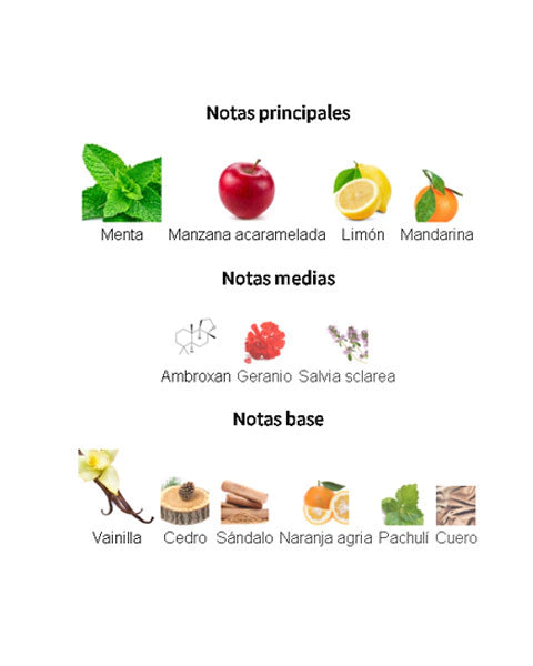 Versace Eros Parfum 100 ml